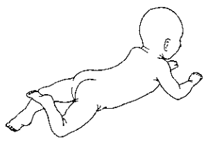 Weight Bearing on Forearms