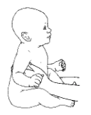 Trunk Control with Support